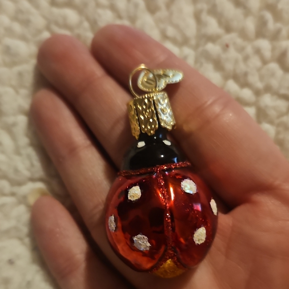 Charming Red and Black Ladybug Ornament